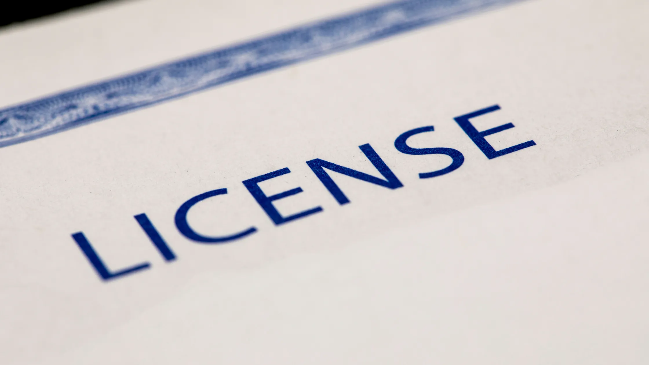 Close-up of the word "LICENSE" on an official document for Roseville short term rentals business license.